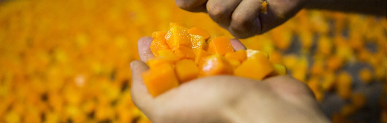 Istražite Knorr priču o održivom uzgoju