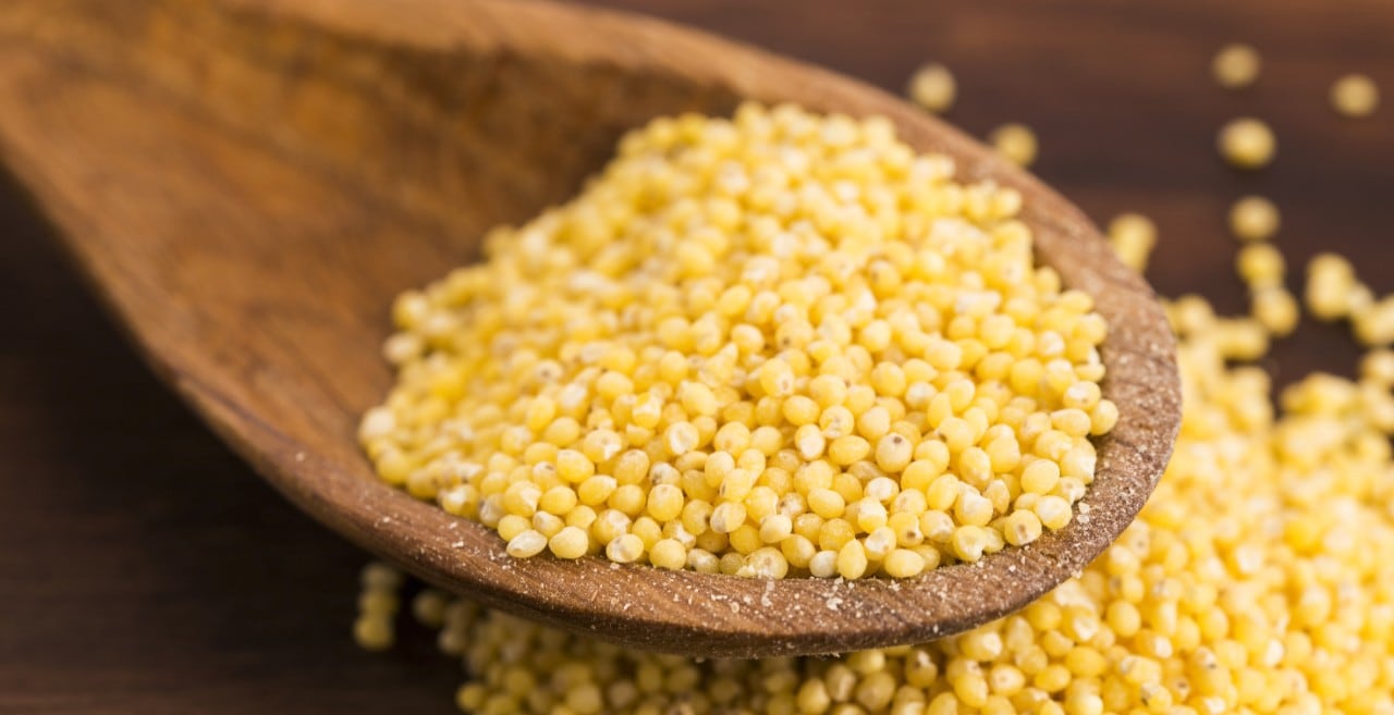 Žitarice koje su uzgajali naši preci vraćaju se